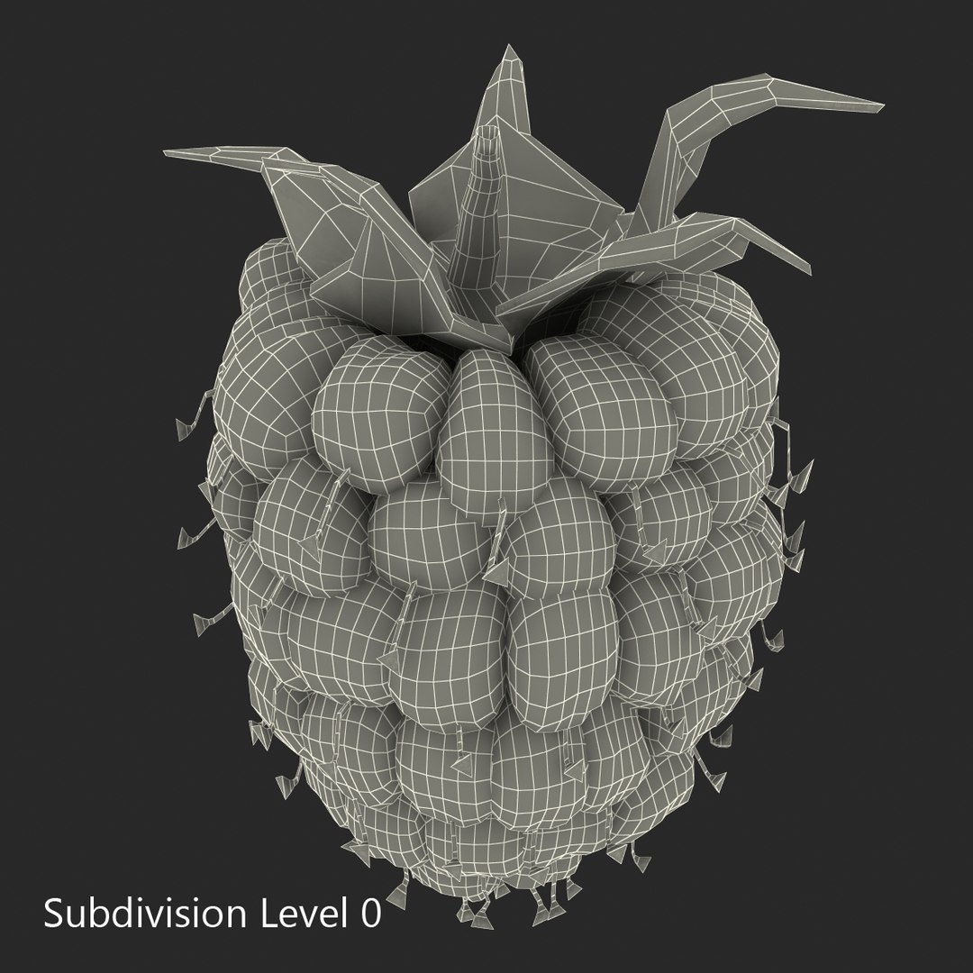 max raspberry 3 https://p.turbosquid.com/ts-thumb/me/IPXosq/jspiWn8U/raspberry3dmodel320/jpg/1426696118/1920x1080/fit_q87/504ddc140230112968ff6c24cac808a9720c732a/raspberry3dmodel320.jpg