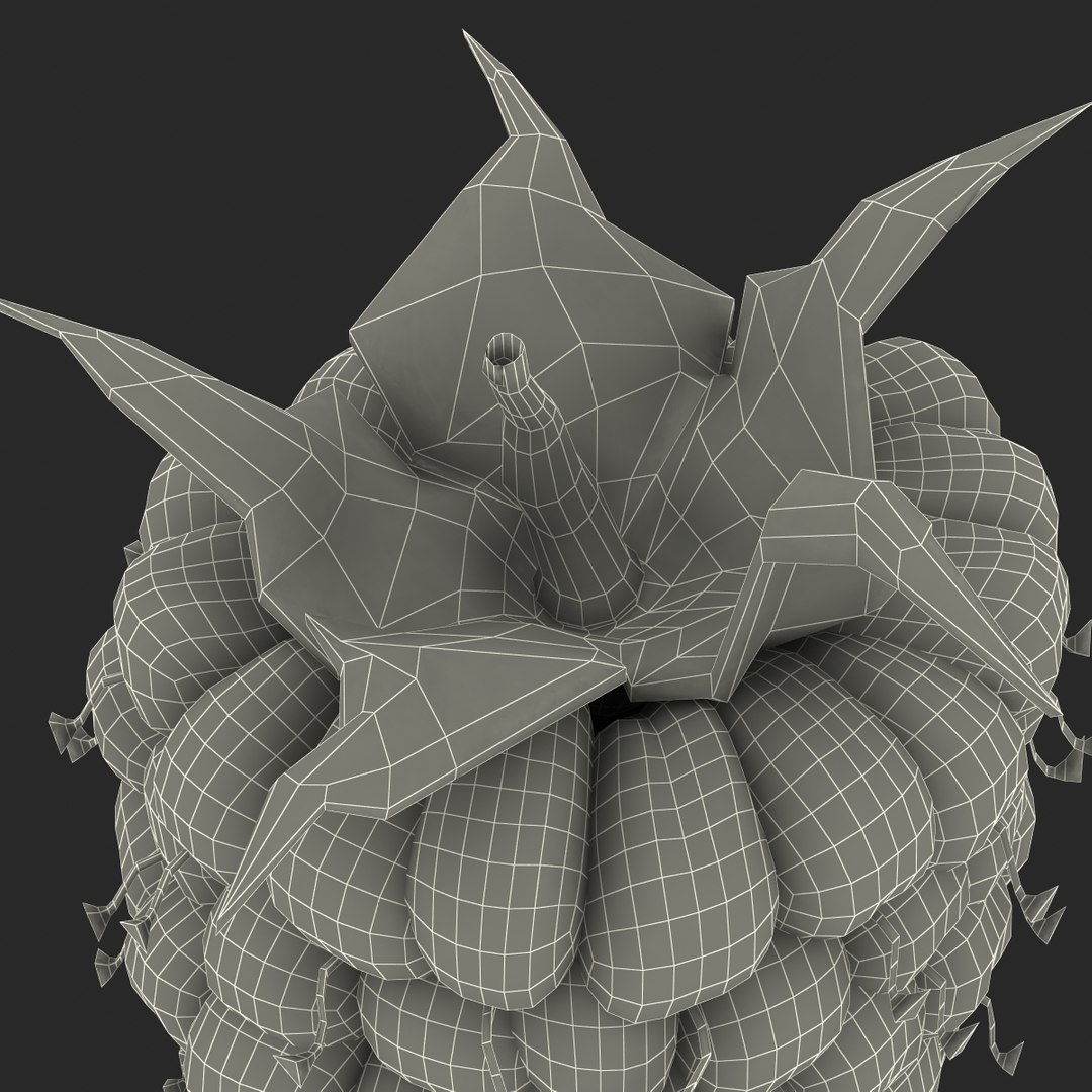 max raspberry 3 https://p.turbosquid.com/ts-thumb/me/IPXosq/oWrnmDN6/raspberry3dmodel331/jpg/1426696119/1920x1080/fit_q87/a65c40acf4f411068a18a0fe2883fbd56f055916/raspberry3dmodel331.jpg