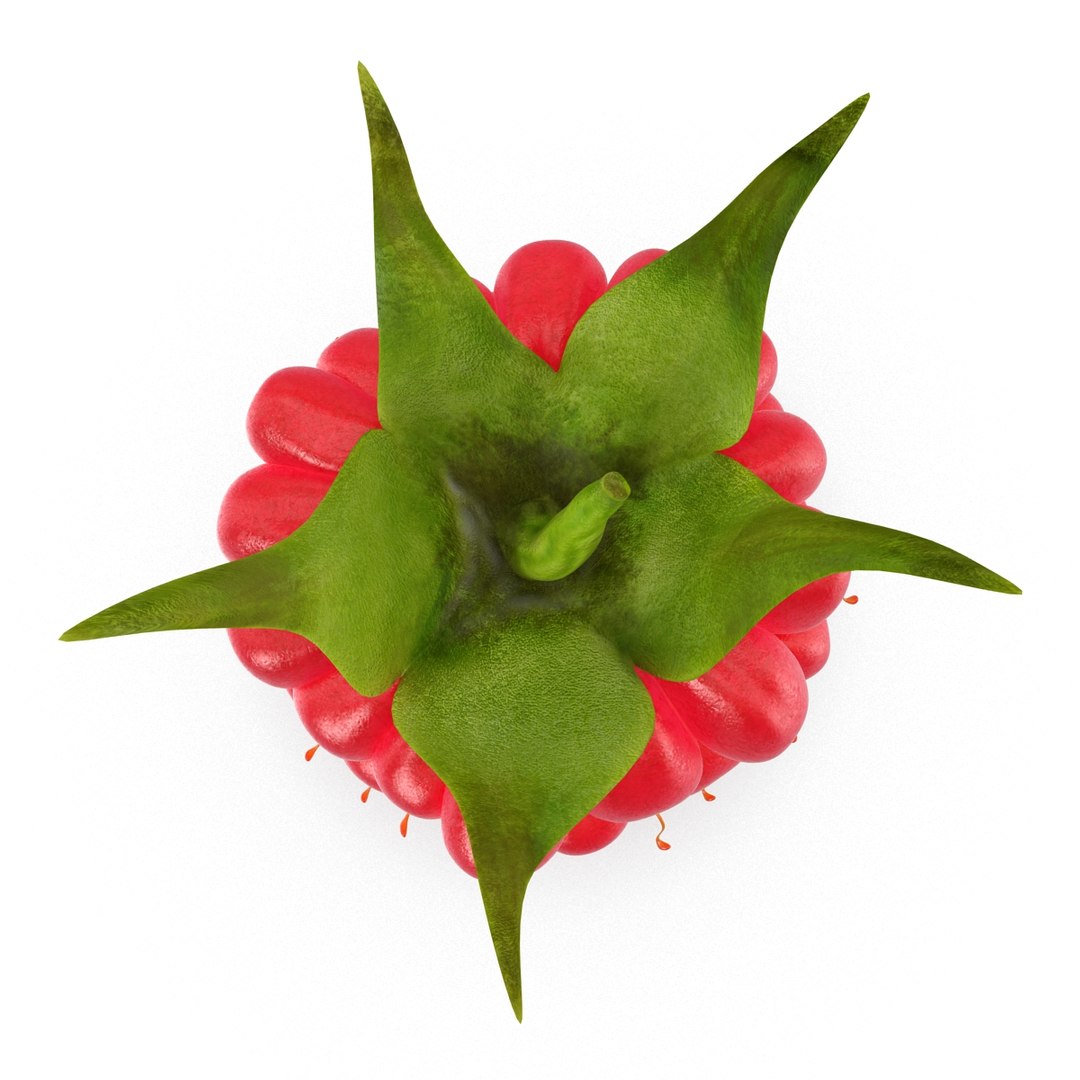 max raspberry 3 https://p.turbosquid.com/ts-thumb/me/IPXosq/zKwkntOG/raspberry3dmodel308/jpg/1426696117/1920x1080/fit_q87/fe1e225b97e4f98014e763174f7f6b4be0d7e40e/raspberry3dmodel308.jpg