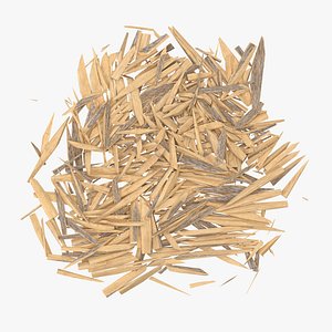 Splintered Wood 04