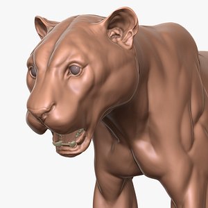 Tiger Primary Forms Zbrush Sculpt 3D model