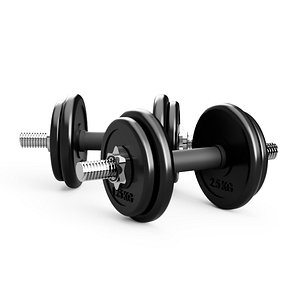 sports weight dumbbell 3D model