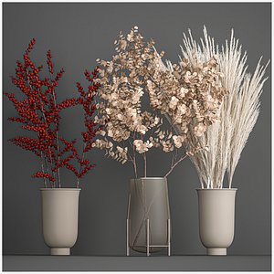 Decorative Bouquet of dried flowers 202 3D model