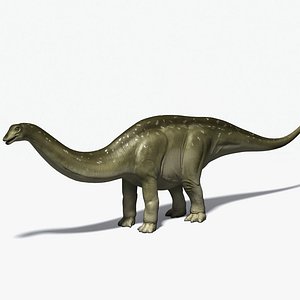 Apatosaurus