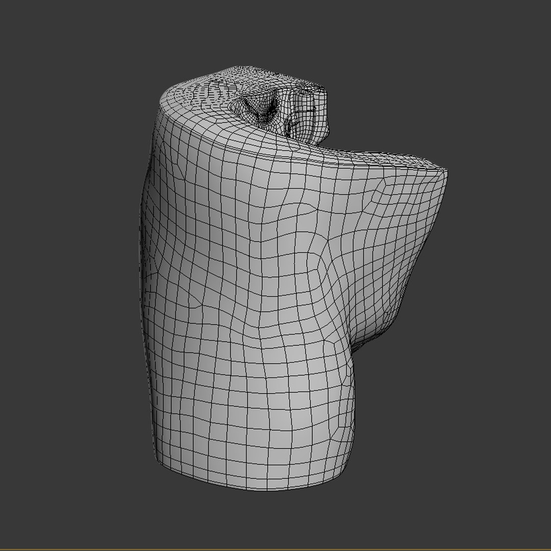 3d dugm01 female pelvis section model https://p.turbosquid.com/ts-thumb/me/ZjgRZd/QkfqTFqC/female_pelvis_median_section_010013/jpg/1370899496/1920x1080/fit_q87/bca1e77579f1e0e9704c70c88b57806d182023fd/female_pelvis_median_section_010013.jpg