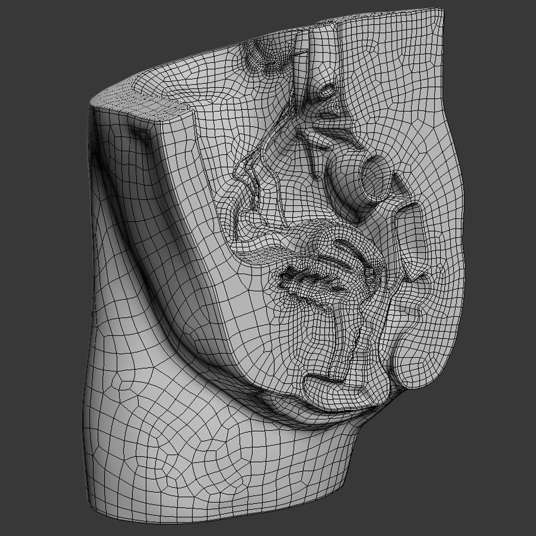3d dugm01 female pelvis section model https://p.turbosquid.com/ts-thumb/me/ZjgRZd/nZfmQwHj/female_pelvis_median_section_010014/jpg/1370899497/1920x1080/fit_q87/e38d0106e6a81ff9a66d7ba93e795599b56ad8de/female_pelvis_median_section_010014.jpg