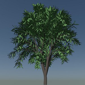 3D Simple tree 24L04 model