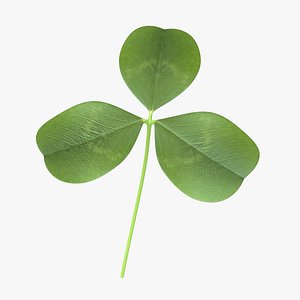 3D clover shamrock