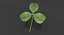 Clover / Shamrock