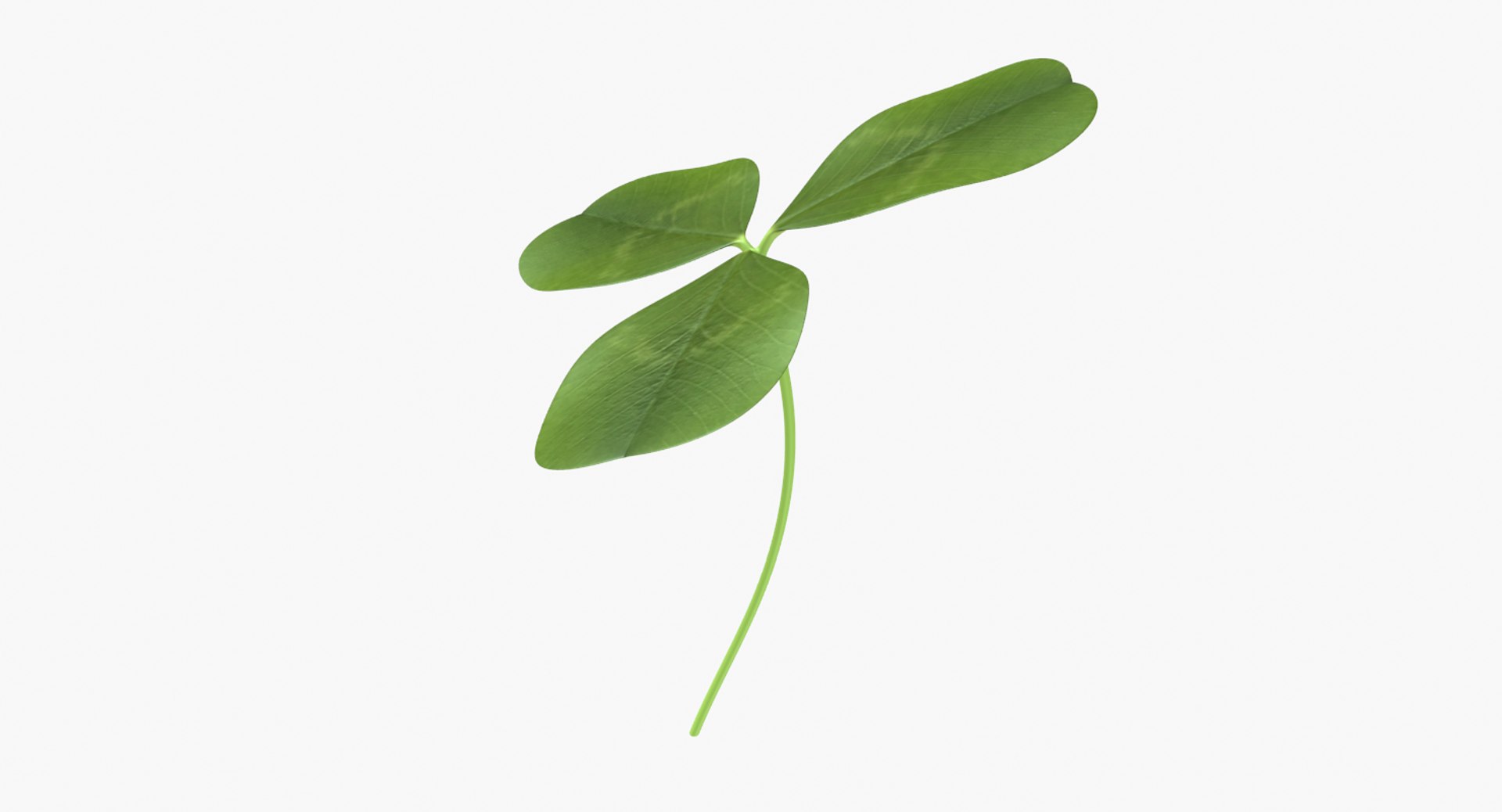 3D clover shamrock https://p.turbosquid.com/ts-thumb/me/aU4QRI/Jy05Ne12/untitled1/png/1502420950/1920x1080/fit_q87/62869e211b05183f0c1b33fff42220a706172d8d/untitled1.jpg