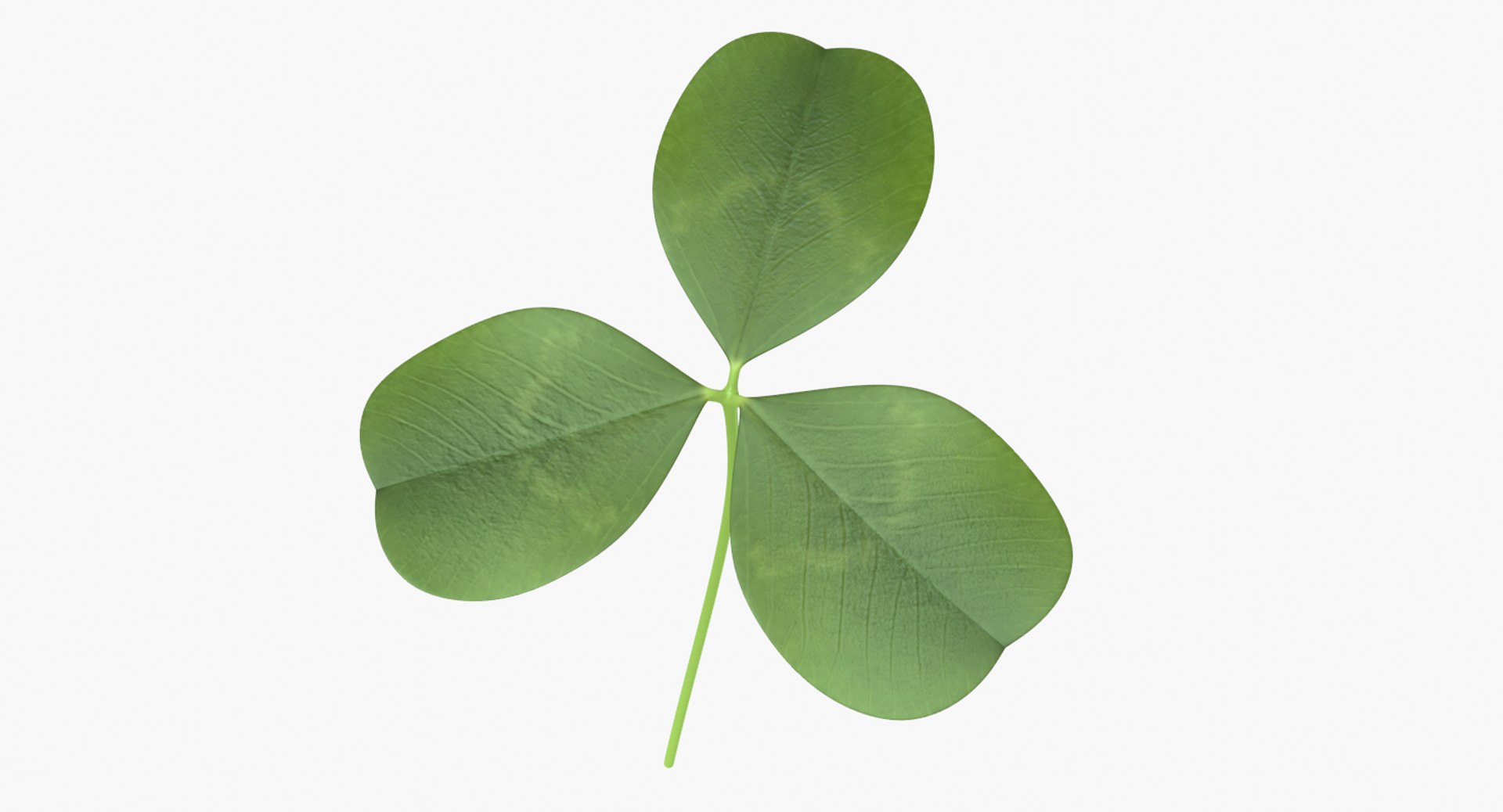 3D clover shamrock https://p.turbosquid.com/ts-thumb/me/aU4QRI/K0pFSeIb/untitled4/png/1502420993/1920x1080/fit_q87/2875b10e4a423c4c3314241f1289ab15cf513abd/untitled4.jpg