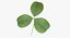 Clover / Shamrock