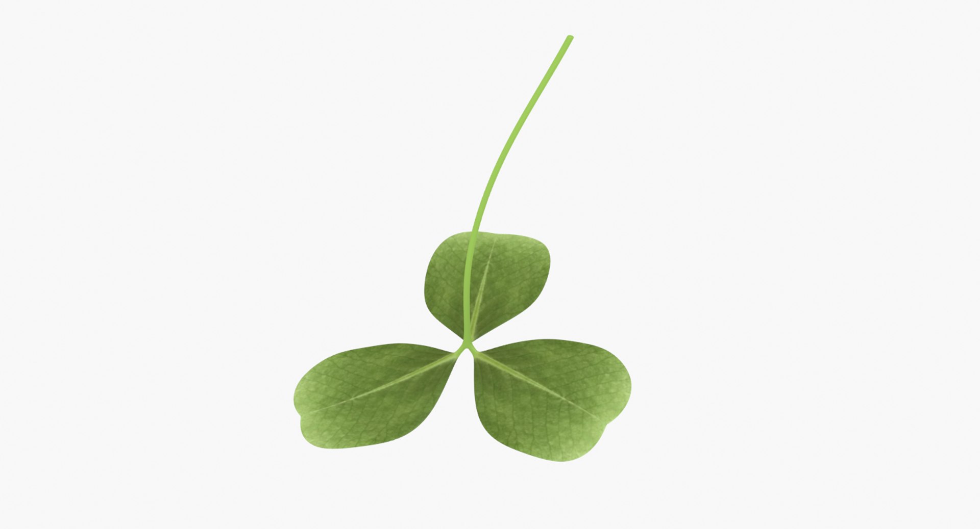 3D clover shamrock https://p.turbosquid.com/ts-thumb/me/aU4QRI/hsFQNqHB/untitled20/png/1500088721/1920x1080/fit_q87/dd334d356666cce032181f6e49bc6467d648d1cc/untitled20.jpg