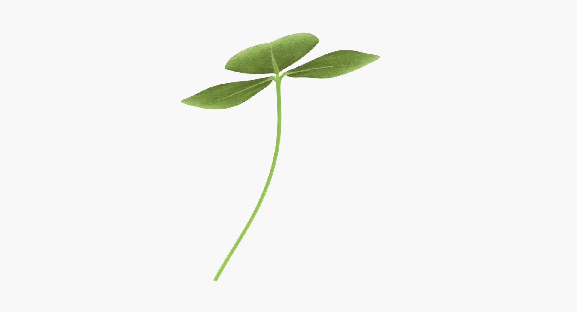 3D clover shamrock https://p.turbosquid.com/ts-thumb/me/aU4QRI/kp4pZlWp/untitled2/png/1502420973/1920x1080/fit_q87/98f57ec87f024b73398e5077ca3555d2846f6cc8/untitled2.jpg
