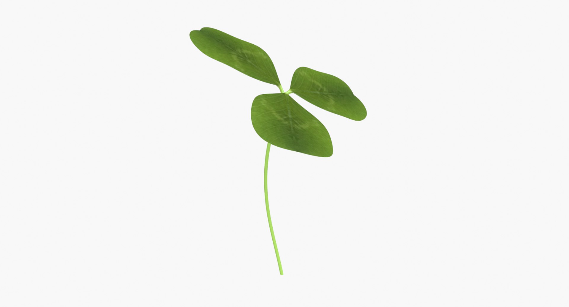 3D clover shamrock https://p.turbosquid.com/ts-thumb/me/aU4QRI/pThsh2iv/untitled6/png/1502421013/1920x1080/fit_q87/5ba16017f54150a0ab0c1cd45867487786d1e3e2/untitled6.jpg