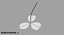 Clover / Shamrock