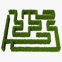 Carpinus Betulus Hedge Kit