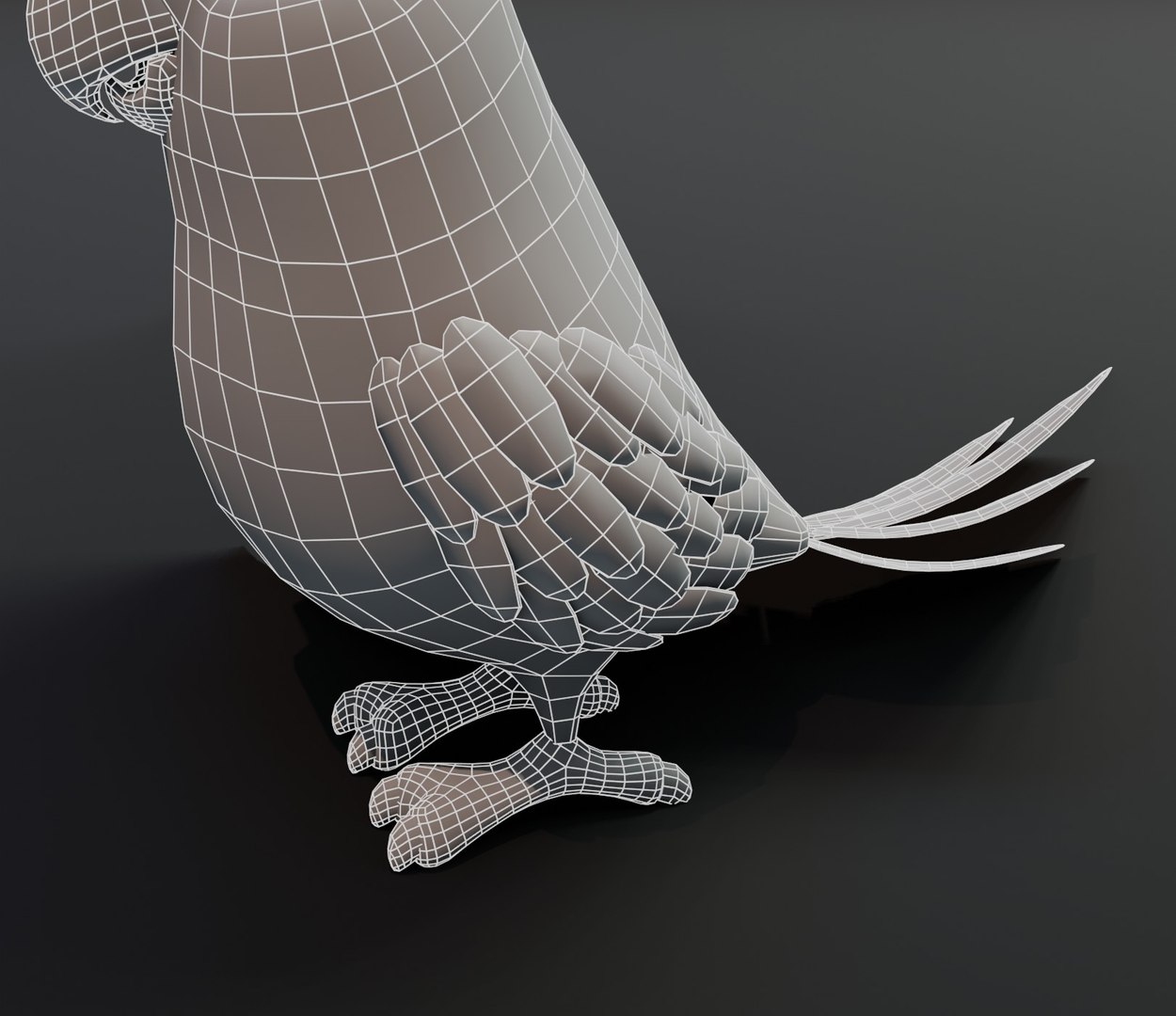 3D Cartoon Parrot Bird Base Mesh Model - TurboSquid 1547049