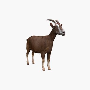 3D Goat