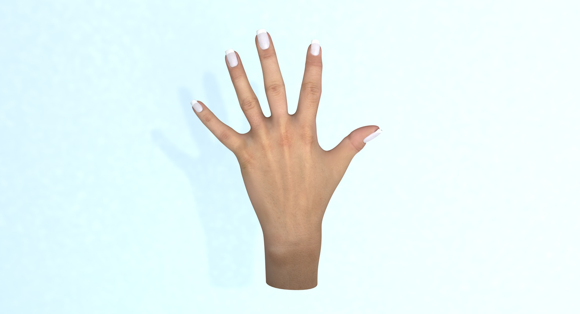 Female Human Hand 3D Model - TurboSquid 1203859