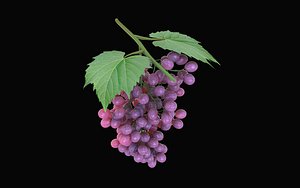 Grapes