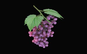 Grapes