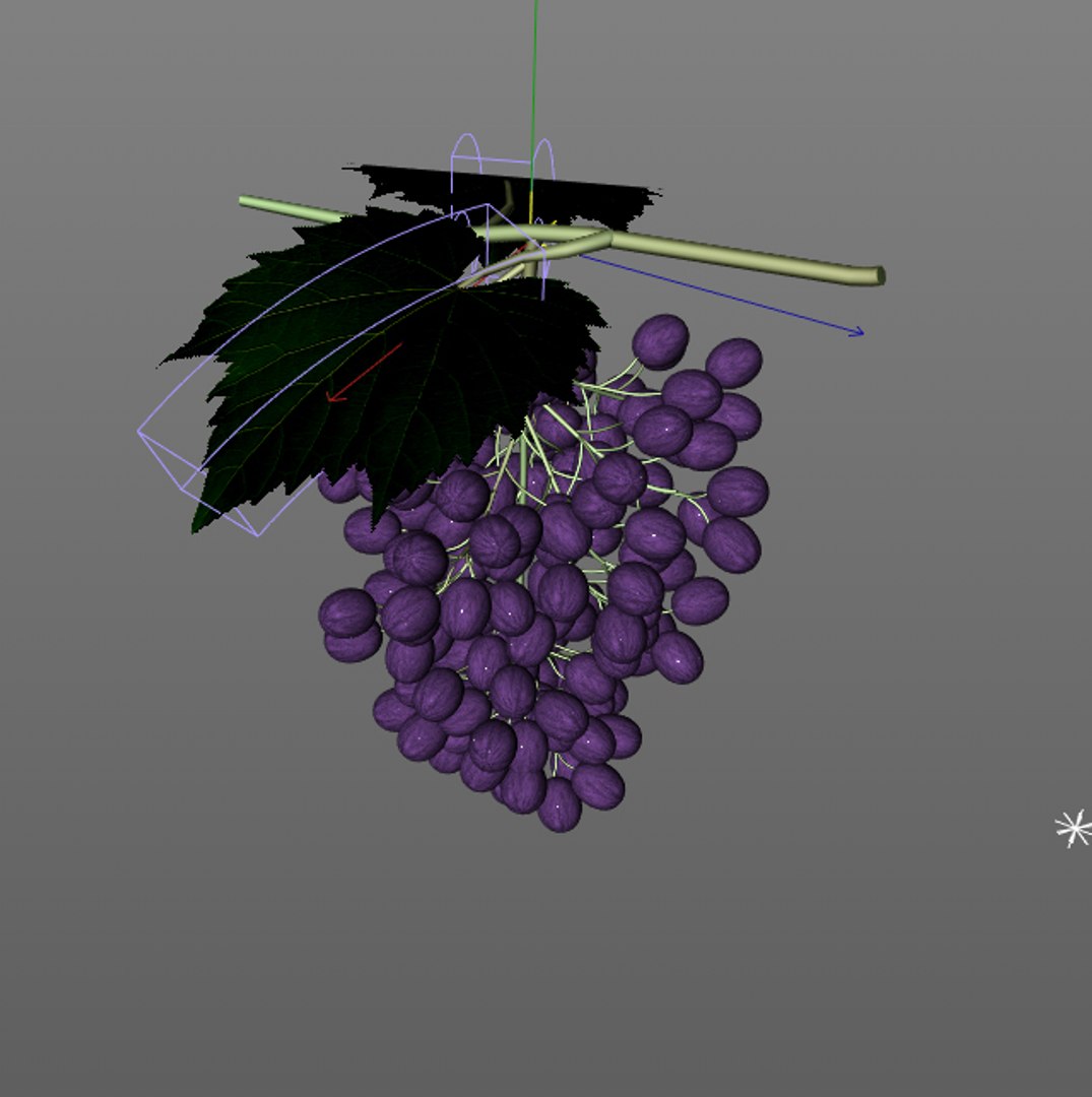 3D Fruits Grapes Model - TurboSquid 1541533