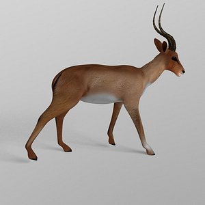 3d modelled model