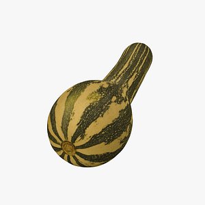 3D Squash Cucurbita moschata - Extreme Definition 3D Scanned