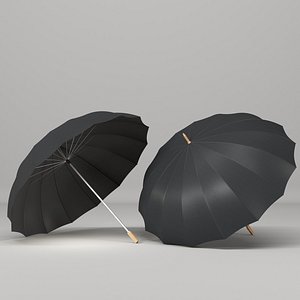 3D umbrella model