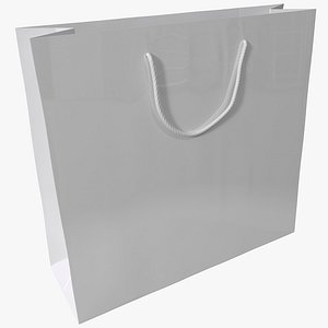 Paper Bag 4