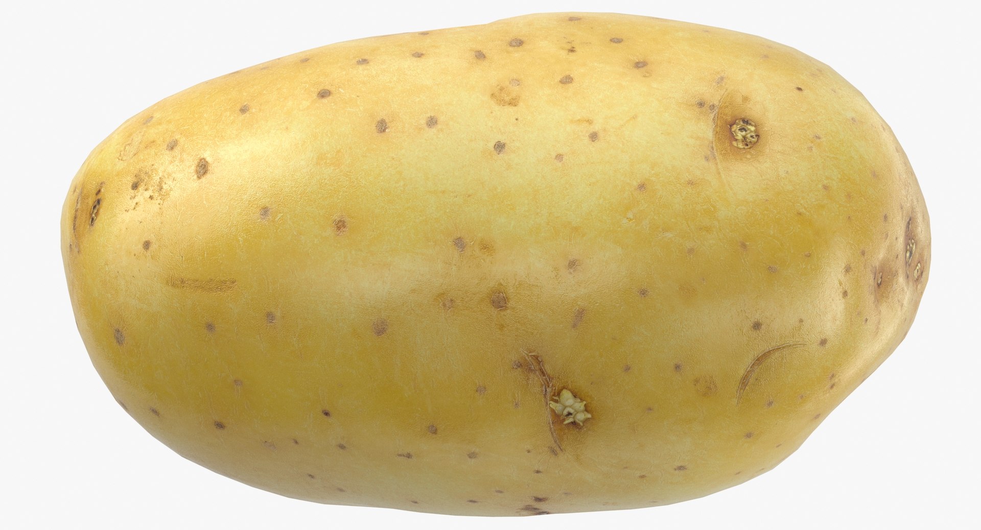 potato clean ready 05 3D model https://p.turbosquid.com/ts-thumb/mf/O9ppoV/ed46n6DG/potato_clean_game_ready_05_thumbnail_0007/jpg/1570715690/1920x1080/fit_q87/7bf8312cff5f53a5a8ad5317289a21bcb490dbb4/potato_clean_game_ready_05_thumbnail_0007.jpg
