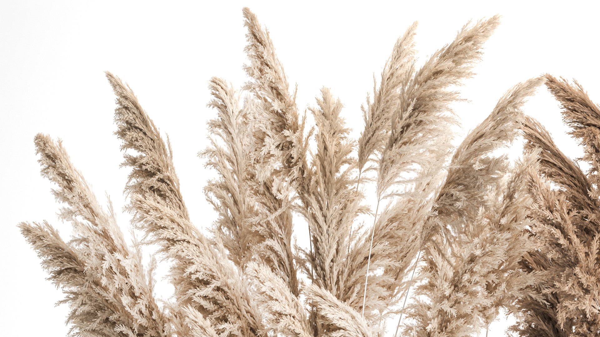 Bouquet Of Dry Reeds and pampas grass In A Rusty Pots 3D model ...