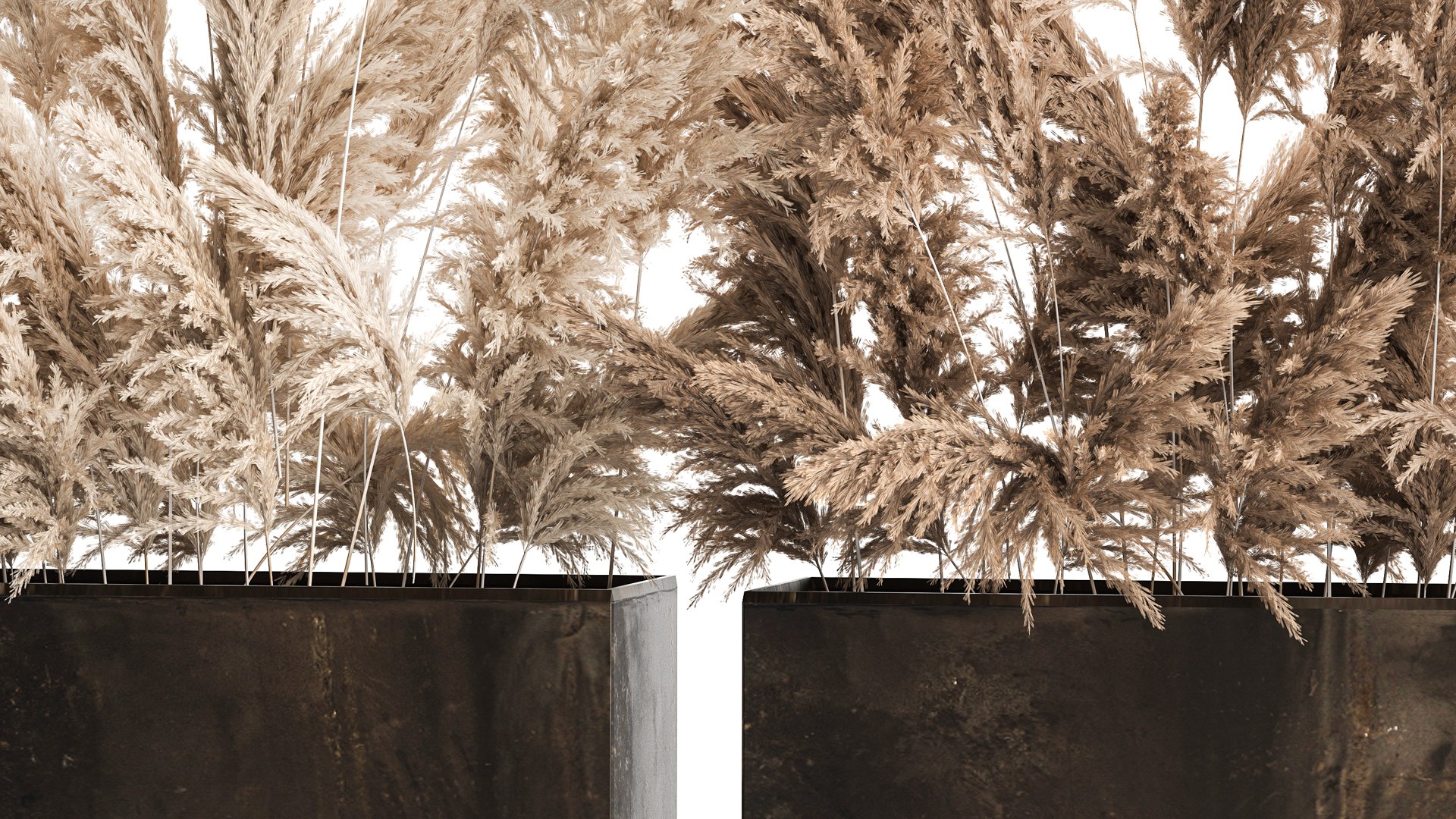 Bouquet Of Dry Reeds and pampas grass In A Rusty Pots 3D model ...