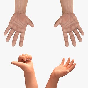 Rigged Man and Baby Hands Collection