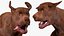 3D Running Brown Retriever Dog Fur Animated Rigged for Cinema 4D model