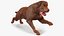 3D Running Brown Retriever Dog Fur Animated Rigged for Cinema 4D model