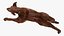 3D Running Brown Retriever Dog Fur Animated Rigged for Cinema 4D model