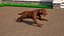 3D Running Brown Retriever Dog Fur Animated Rigged for Cinema 4D model