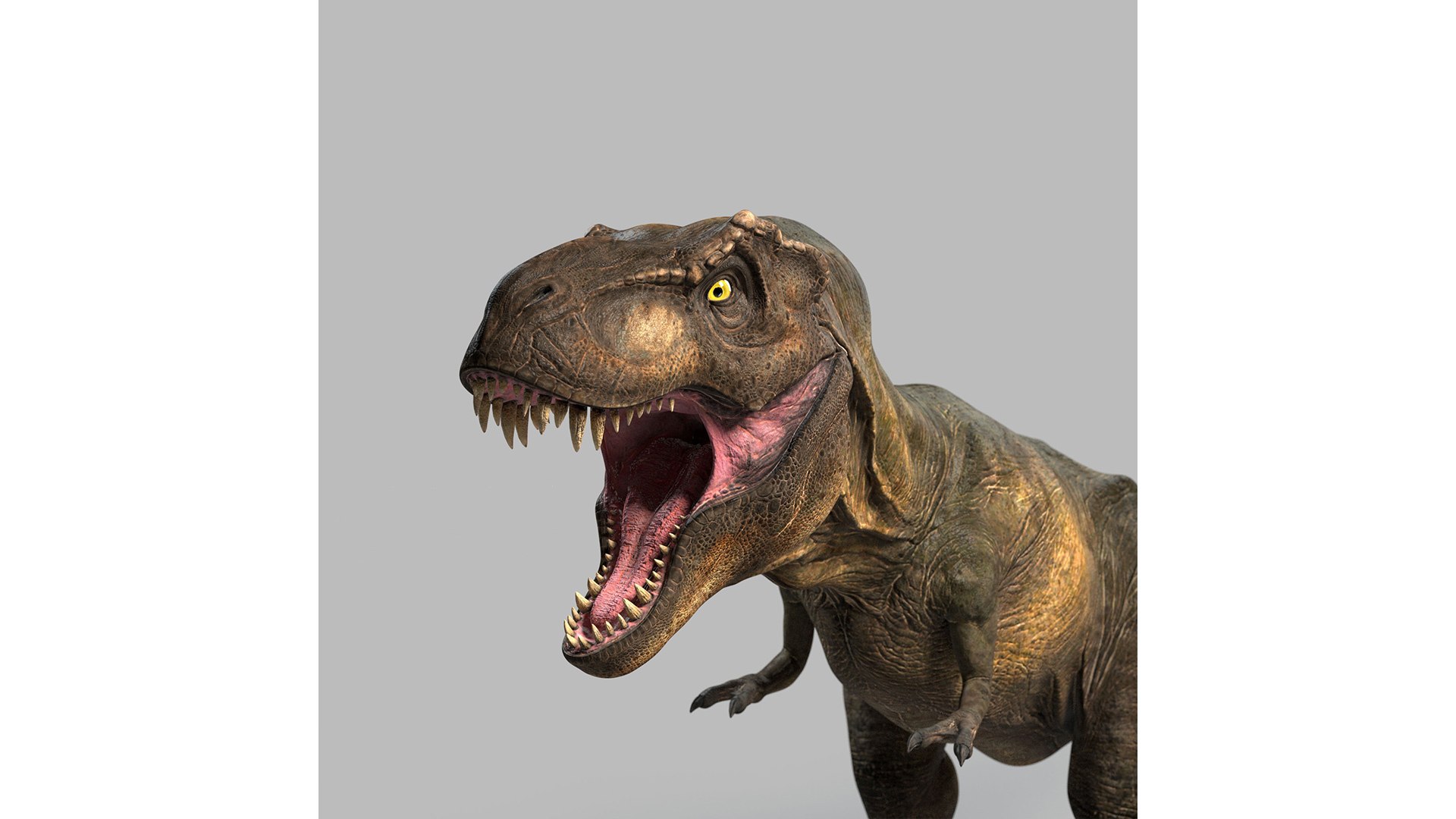 3D T-rex Rigged Model - TurboSquid 1616275