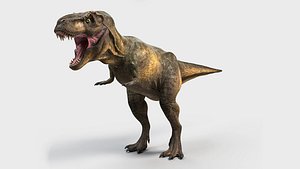 3D t-rex rigged model
