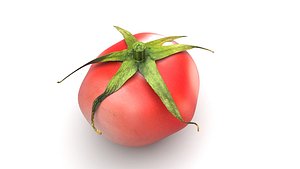 3D Tomato