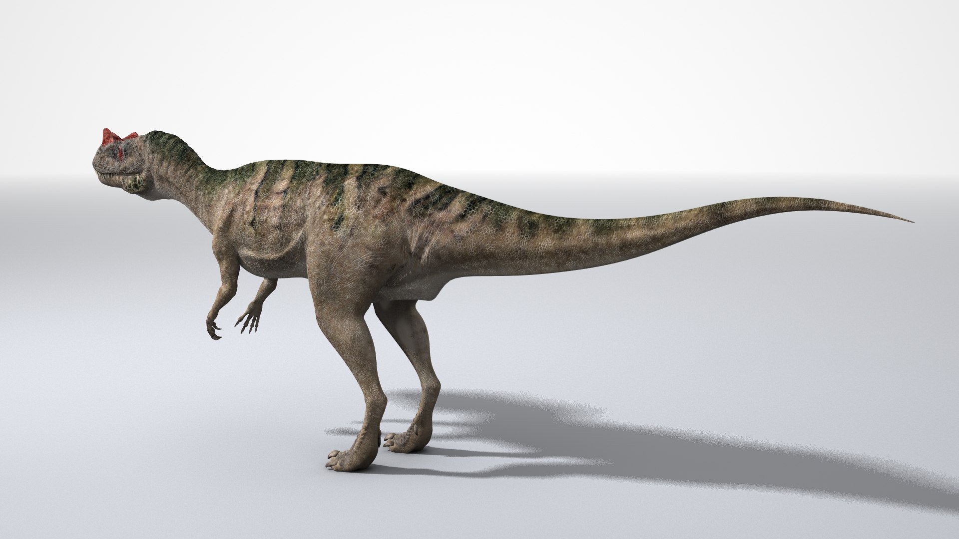 3D Ceratosaurus - TurboSquid 1833253