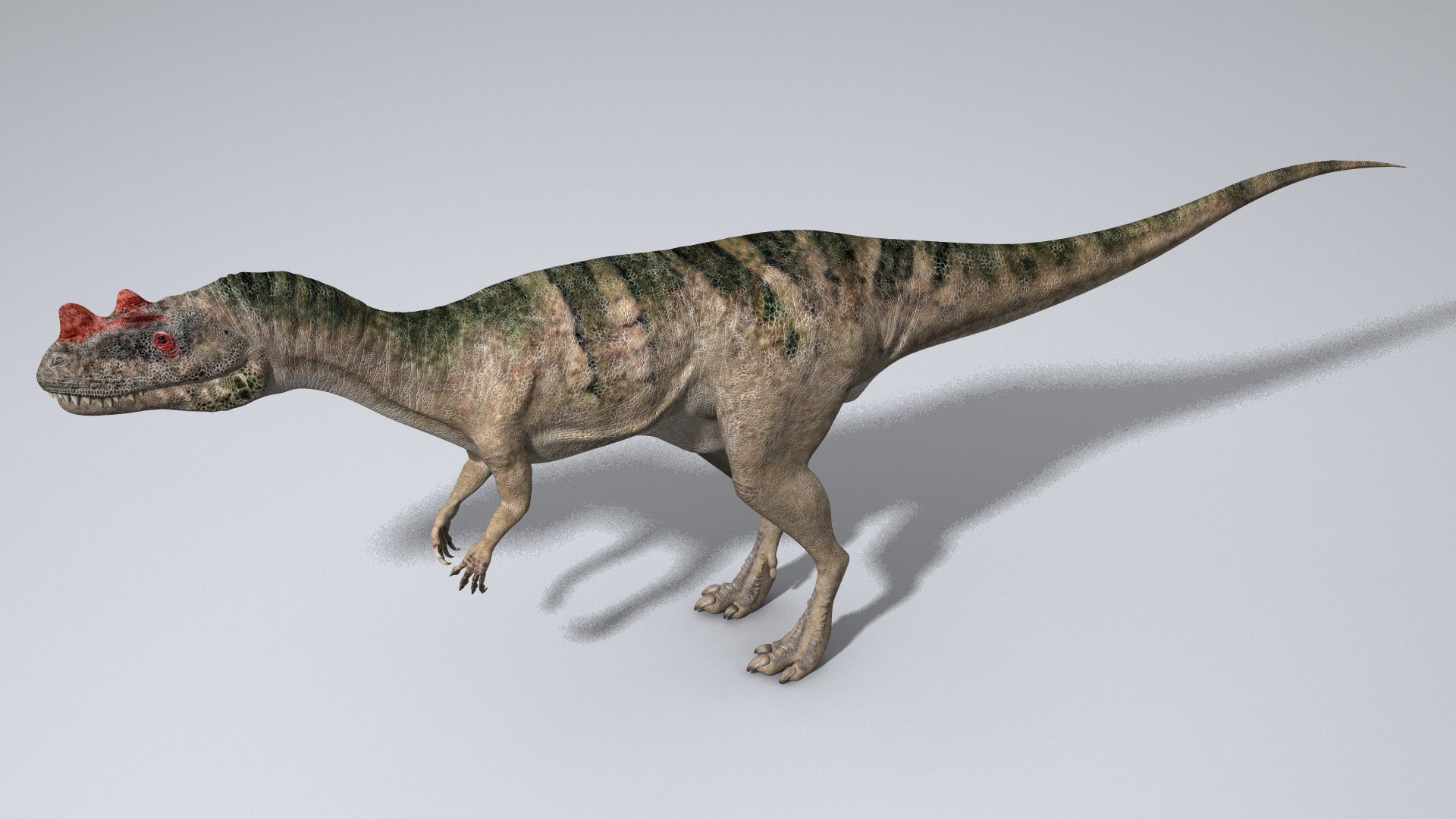 3D Ceratosaurus - TurboSquid 1833253
