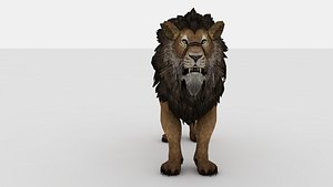 3D lion