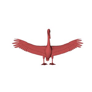 3D model base mesh pelican