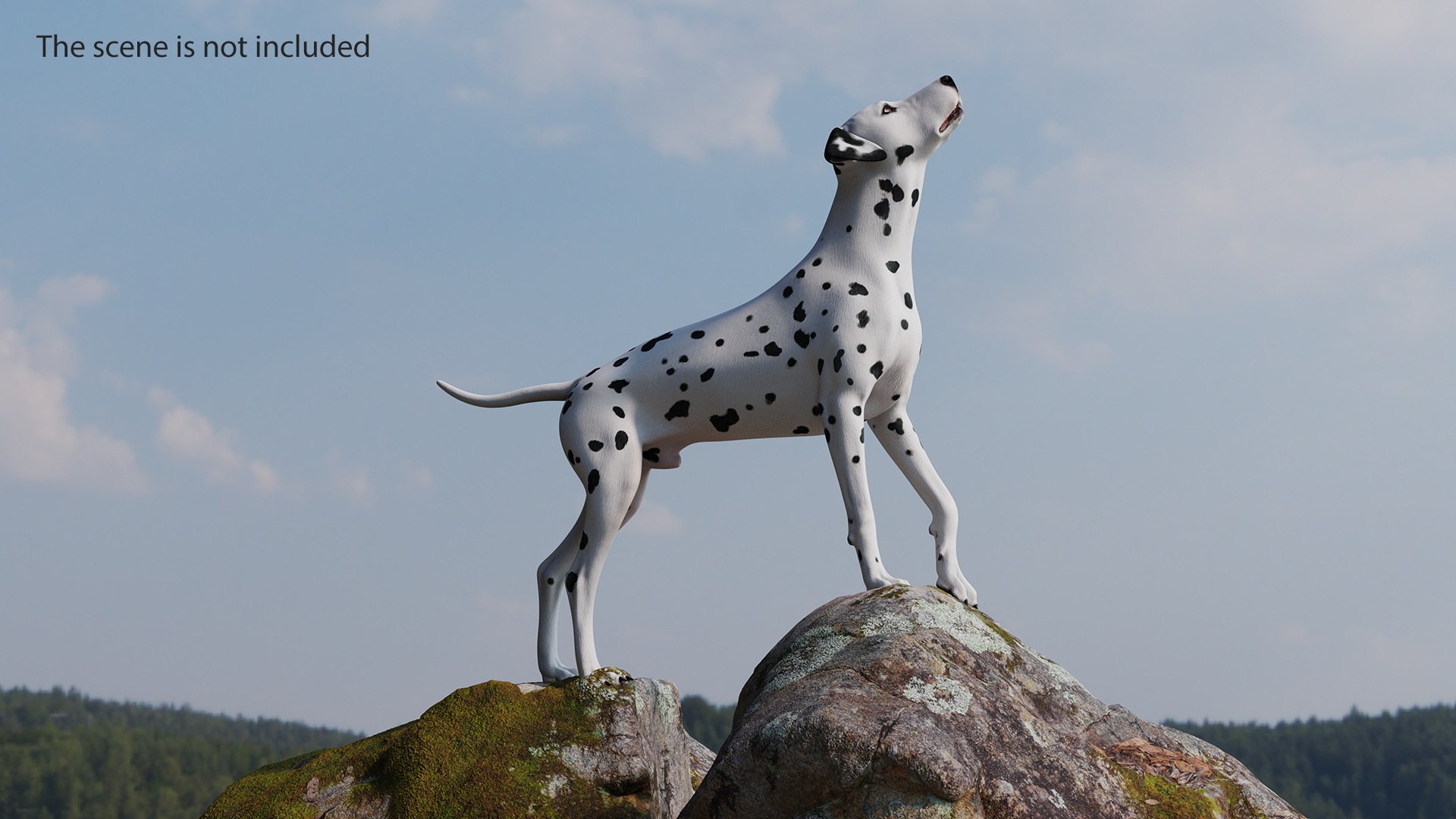 Dalmatian Dog Rigged 3D https://p.turbosquid.com/ts-thumb/mf/ybLYcX/Jg/dalmatiandogrigged3dmodel004/jpg/1716126024/1920x1080/fit_q87/7fbd33adffd19f69eb78ab5f88ae51c9d16f30ba/dalmatiandogrigged3dmodel004.jpg