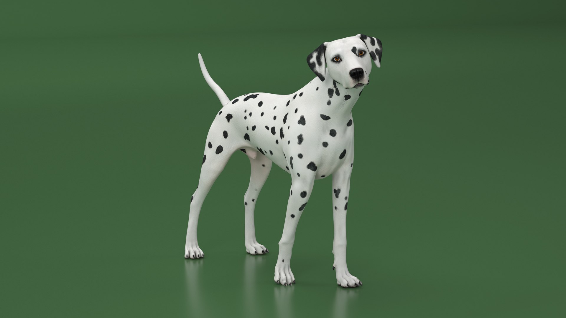 Dalmatian Dog Rigged 3D https://p.turbosquid.com/ts-thumb/mf/ybLYcX/O1/dalmatiandogrigged3dmodel016/jpg/1716126049/1920x1080/fit_q87/1c6b931fe4e0cc0d00214a8e8f1708ee2e737a5f/dalmatiandogrigged3dmodel016.jpg