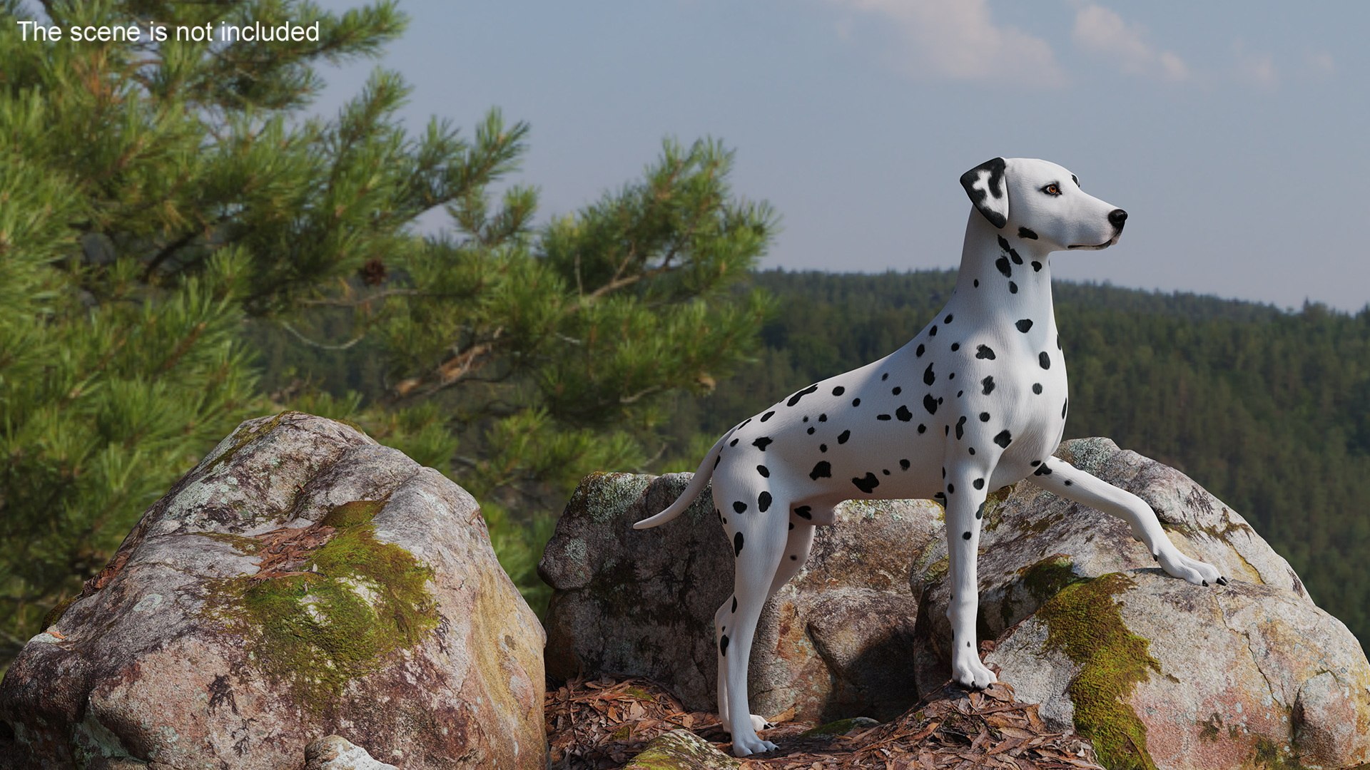 Dalmatian Dog Rigged 3D https://p.turbosquid.com/ts-thumb/mf/ybLYcX/aQ/dalmatiandogrigged3dmodel006/jpg/1716126029/1920x1080/fit_q87/777a34ce0e19ae45fceadd4f5608662c30aa4fdb/dalmatiandogrigged3dmodel006.jpg