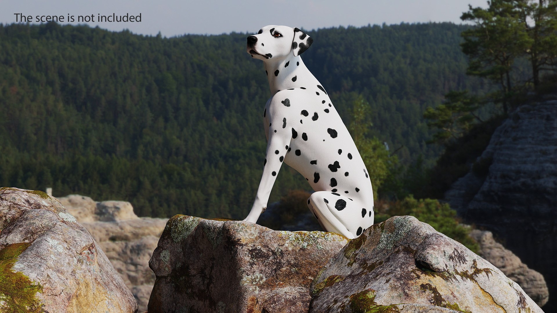 Dalmatian Dog Rigged 3D https://p.turbosquid.com/ts-thumb/mf/ybLYcX/tz/dalmatiandogrigged3dmodel010/jpg/1716126037/1920x1080/fit_q87/e5edbb2eabd21f5e240c68a436c852f9bb64f2ab/dalmatiandogrigged3dmodel010.jpg